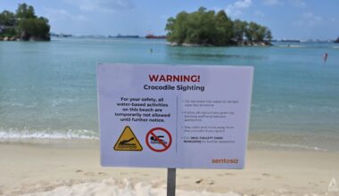No further sightings of crocodile at Sentosa; suspension of water activities lifted