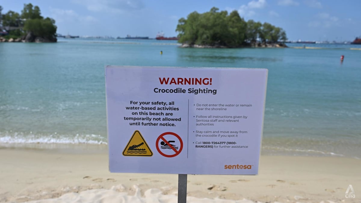 No further sightings of crocodile at Sentosa; suspension of water activities lifted