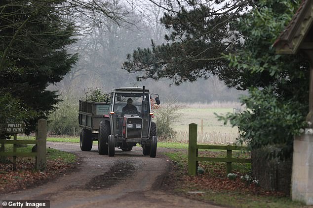 A tractor loaded with foliage leaves the private lane leading to Wood Farm on Thursday