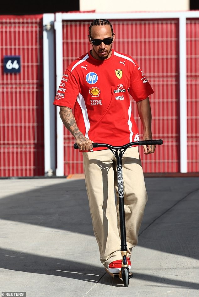 F1 veteran Lewis Hamilton (pictured) has taken aim at the sport's new regulations
