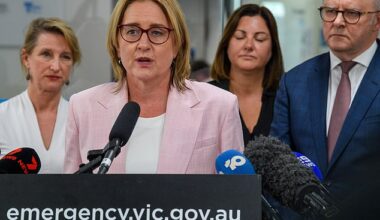 Jacinta Allan's annual disclosure of her ministerial diary revealed she met with former Victorian premier Daniel Andrews in October 2025 for a 'catch up'