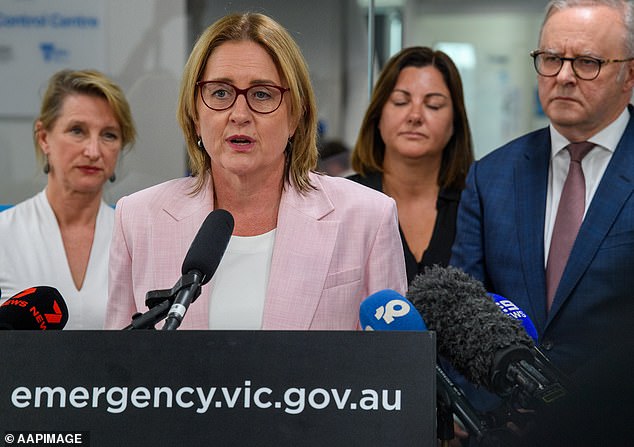 Jacinta Allan's annual disclosure of her ministerial diary revealed she met with former Victorian premier Daniel Andrews in October 2025 for a 'catch up'