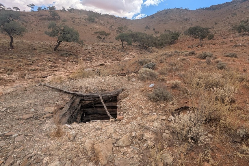 A shaft in the outback from the country around Oak Park Station.