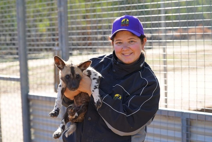 A smiling young woman holds a wild dog while standing near a fence in a zoo.