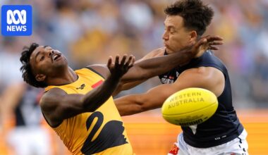 AFL State of Origin coaches hail success of concept following Victoria's win over Western Australia