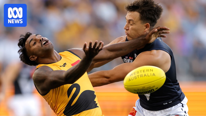 AFL State of Origin coaches hail success of concept following Victoria's win over Western Australia