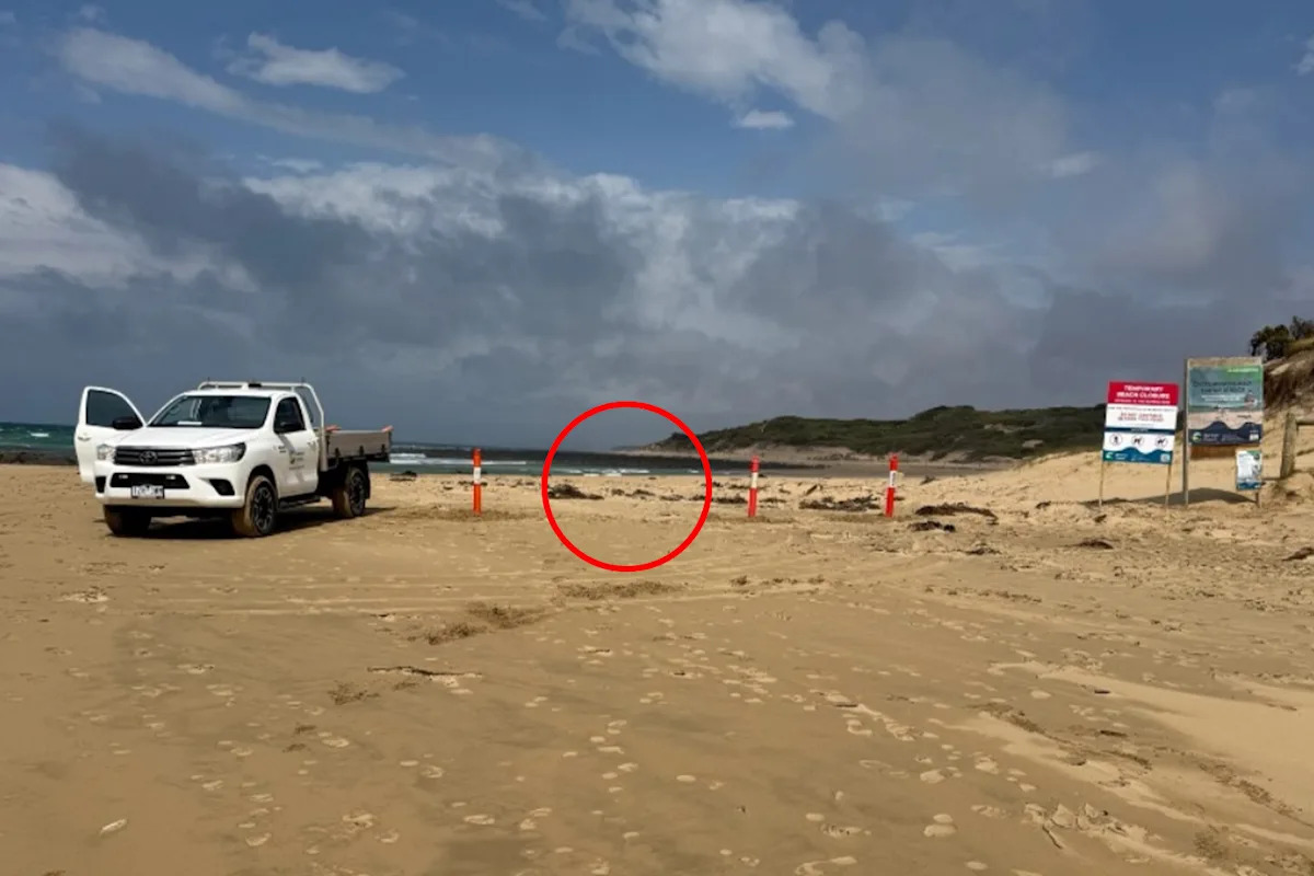 Exclusion zone set around Aussie beach after 'vulnerable' find on sand