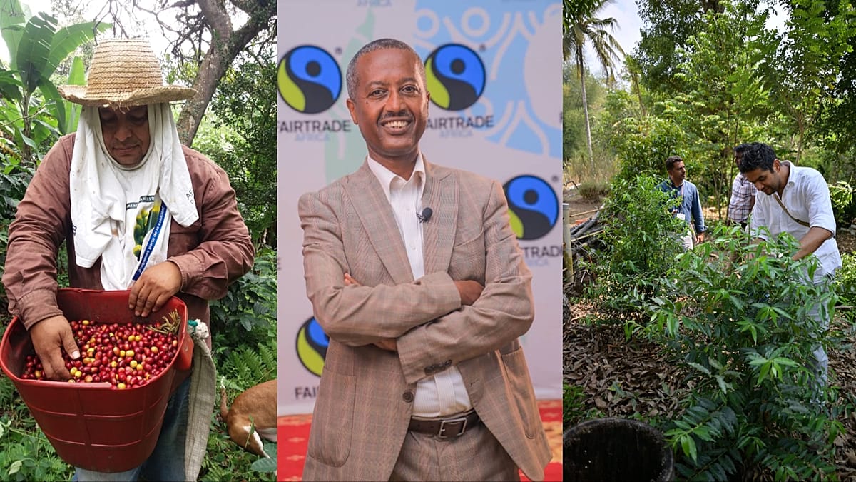 Meet the struggling coffee farmers whose harvests are under threat from fossil-fuelled warming