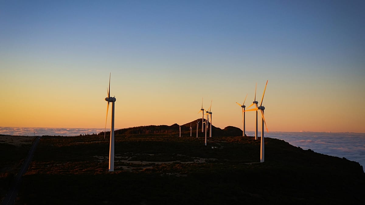 Portugal tops EU leaderboard as over 80% of electricity in January came from renewables