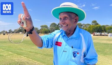Cricket umpire numbers rise since COVID, but regions still in 'dire' need