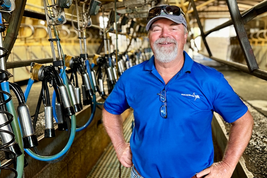 A smiling man, hands on hips in a dairy.