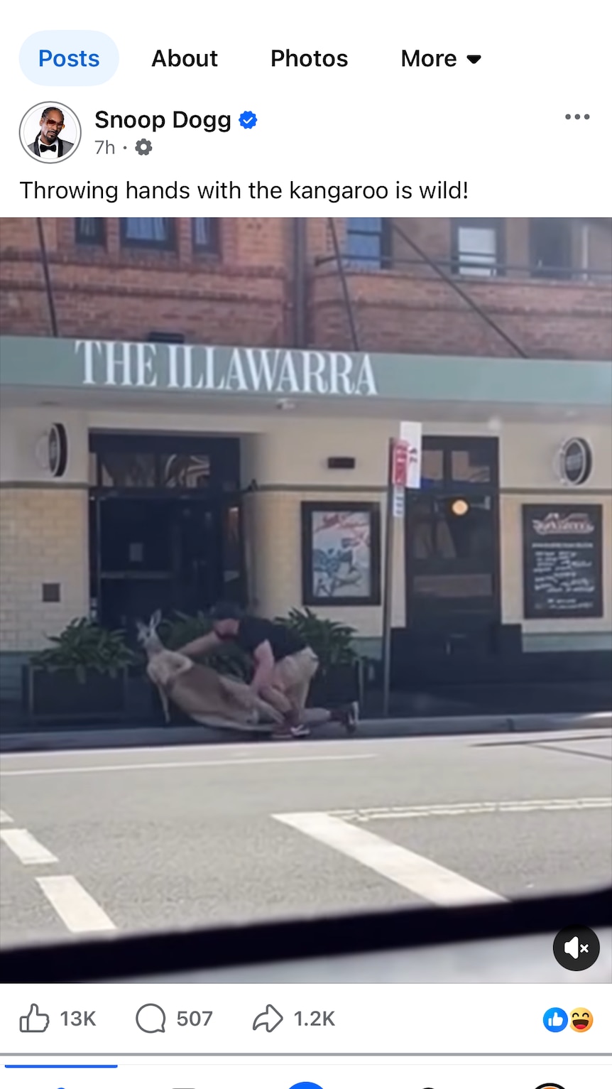 A screen grab of a social media post with a man restraining a kangaroo