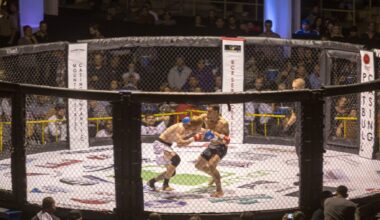 MMA fighters in octagon