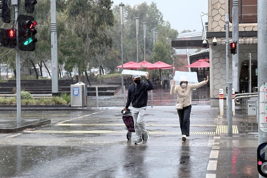 A person holds a see-through plastic tub over their head while another holds the lid of the tub as they run across a wet road.