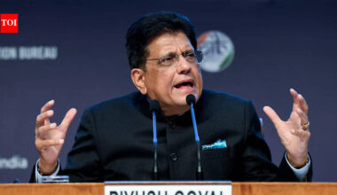 India-US trade deal: Piyush Goyal shares update; ‘every country has to…’