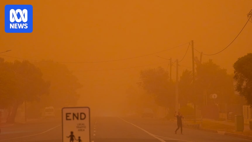 'One minute it was daylight, the next minute it was black' — massive dust storm rolls through outback NSW