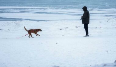 Subfreezing weather is forecast for much of February, with heavy snow blanketing much of the US. Photo: AP PHOTO
