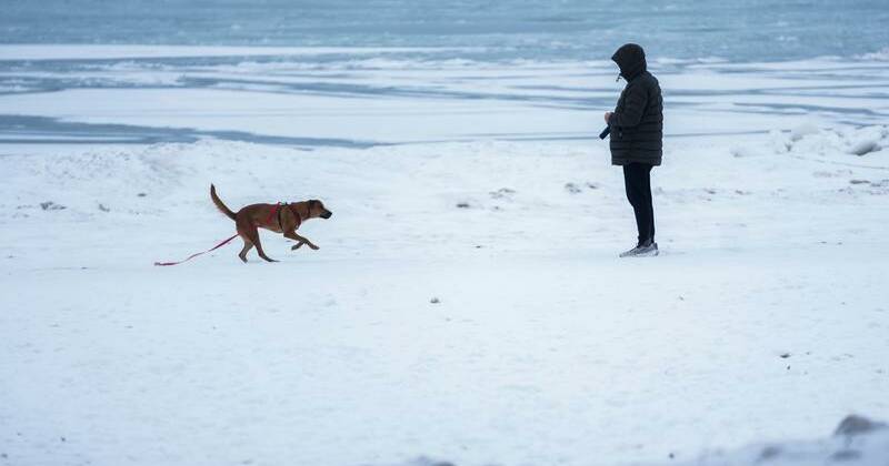 Subfreezing weather is forecast for much of February, with heavy snow blanketing much of the US. Photo: AP PHOTO