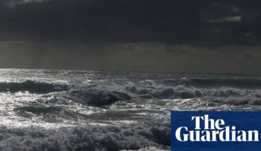 Boy swims four hours through rough seas to save mother and siblings off Western Australia | Western Australia