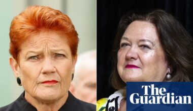 Pauline Hanson failed to declare another flight from billionaire Gina Rinehart’s company | Pauline Hanson