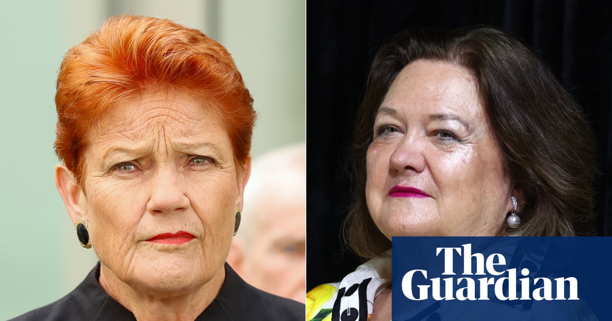 Pauline Hanson failed to declare another flight from billionaire Gina Rinehart’s company | Pauline Hanson