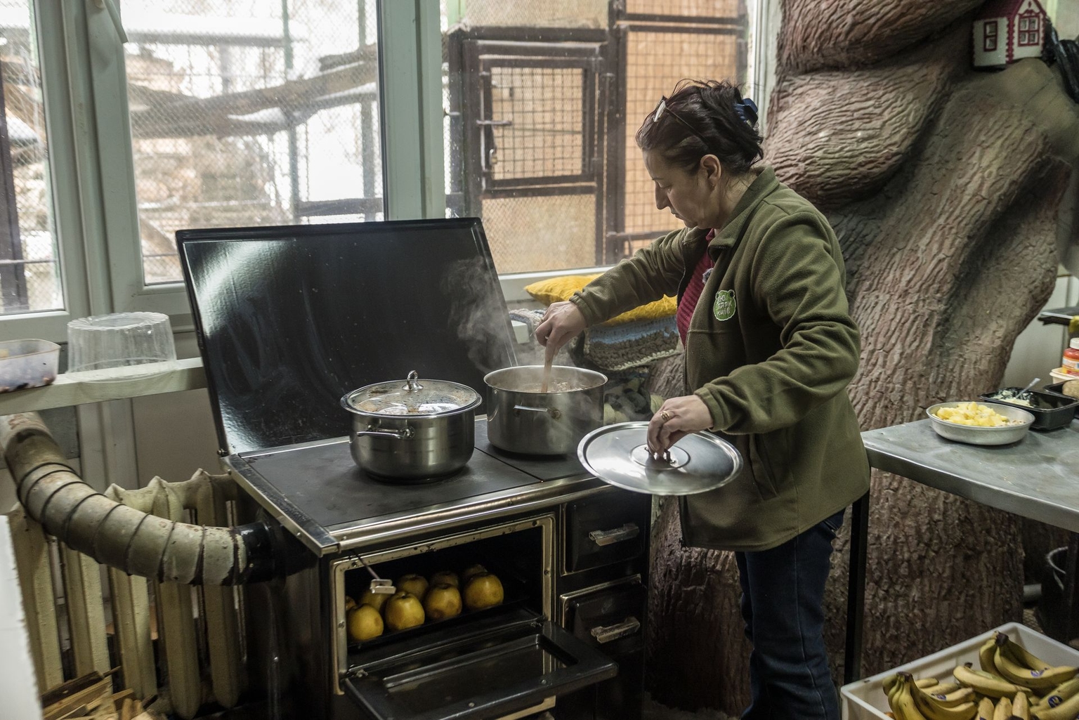 Olha Yanchuk, 51, a leading zootechnician, cooks food for monkeys using a wood-burning stove during a blackout at the Kyiv Zoo in Kyiv, Ukraine, on Jan. 27, 2026. (