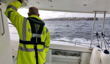 Body found in search for missing swimmer in Sydney's east