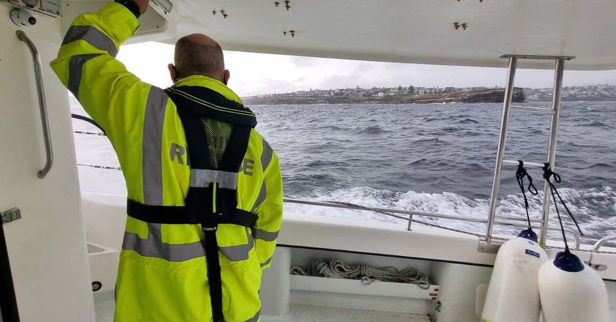 Body found in search for missing swimmer in Sydney's east