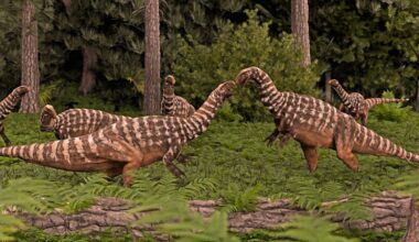 Australia’s oldest dinosaur fossil was found in which suburb? Take the Brisbane Times Quiz - Brisbane Times