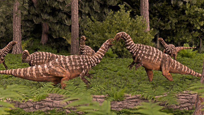 Australia’s oldest dinosaur fossil was found in which suburb? Take the Brisbane Times Quiz - Brisbane Times