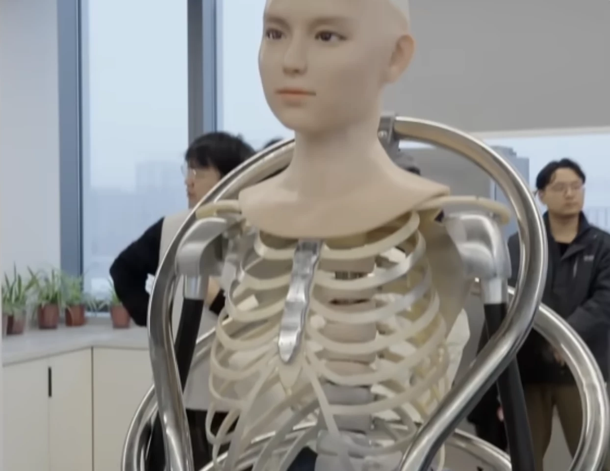 Not what you'd expect to see inside a robot