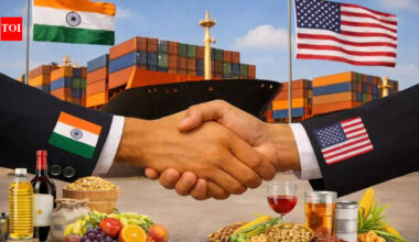 India-US trade deal: Which American products are about to get cheaper in India