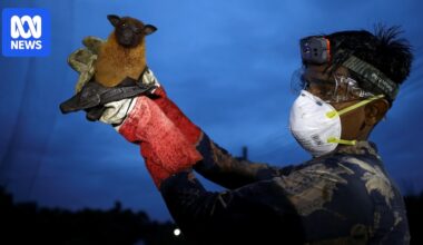 WHO says one person dead from Nipah virus in Bangladesh