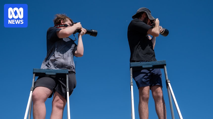 Plane spotters call for dedicated aircraft viewing area at Adelaide Airport