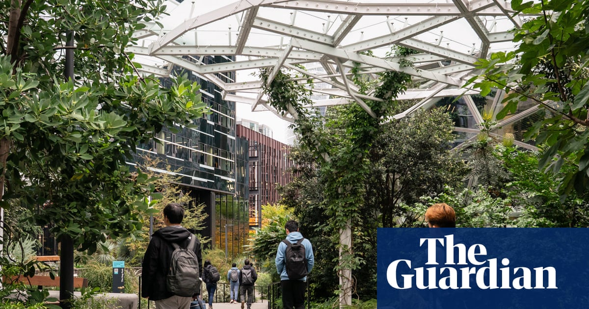 US companies accused of ‘AI washing’ in citing artificial intelligence for job losses | US news