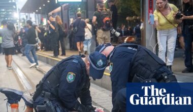 NSW police pepper spray protesters at Sydney rally opposing Isaac Herzog’s visit | New South Wales