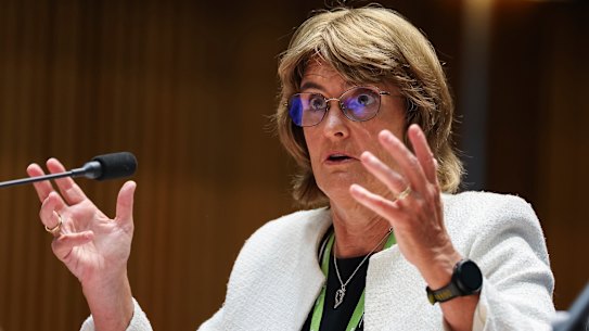 Reserve Bank governor Michele Bullock has conceded that government spending has contributed to the lift in spending across the economy.