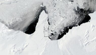 Australian scientists are close to the EDGE