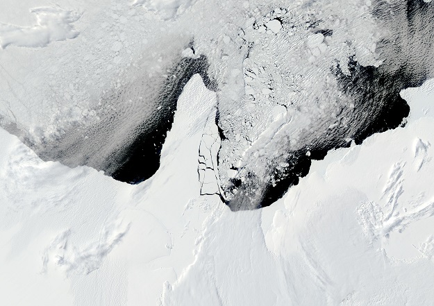 Australian scientists are close to the EDGE