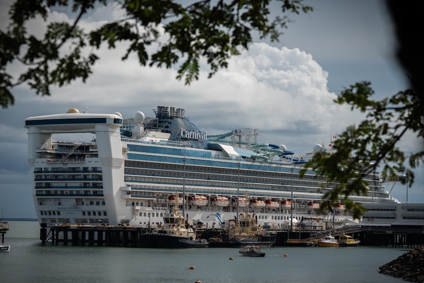 A large cruise ship docked in a harbour. 
