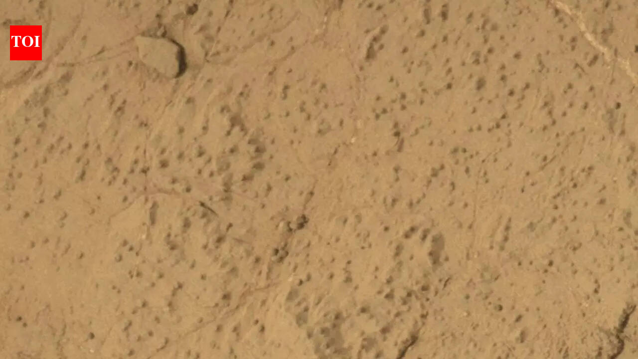 NASA Curiosity rover detected the largest organic molecules ever found on Mars, revealing ancient life clues