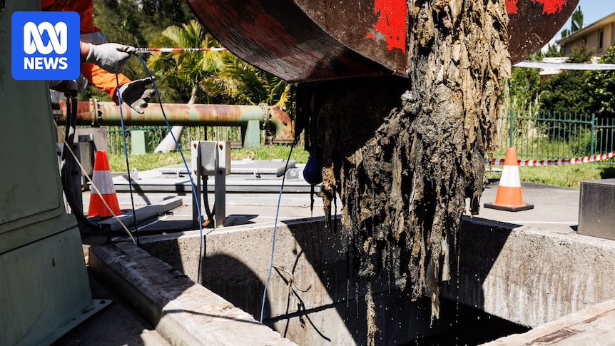 Supersized fatberg clogging Sydney sewer blamed for mysterious debris balls on beach