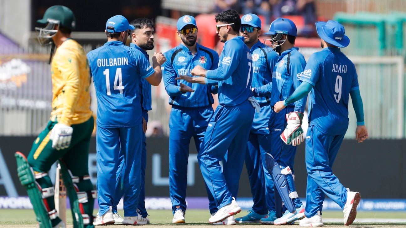 'Very proud' Trott toasts Afghanistan's fighting spirit