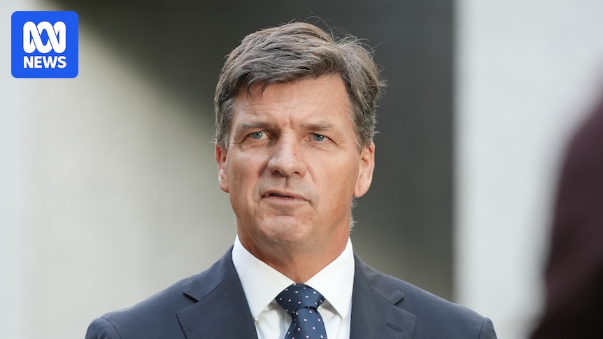 Support firms for Angus Taylor to win Liberal leadership, though Ley expected to achieve 'good result'