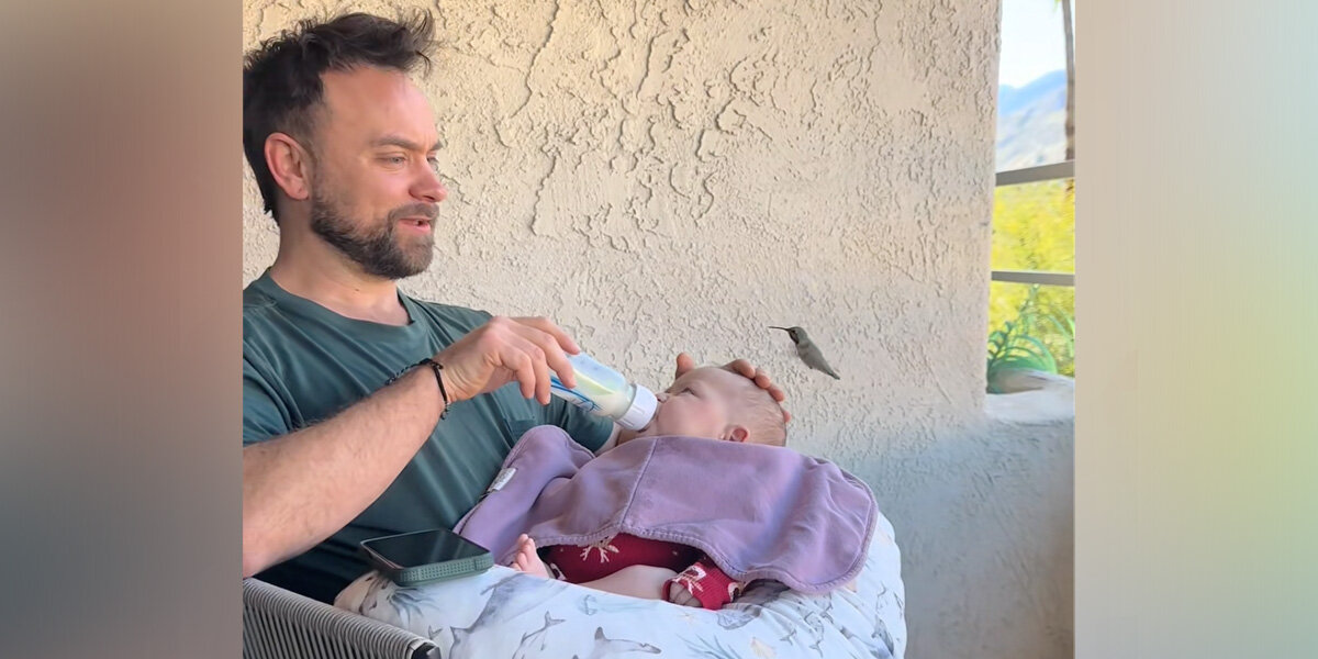 Parents’ Hearts Melt When A Hummingbird Stops By To 'Kiss' Their Baby
