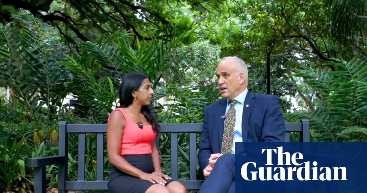 Rebel Queensland LNP MP urges colleagues to ‘put on the full armour of God’ and speak against abortion | Queensland politics