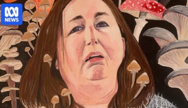 Bald Archy satirical art prize highlights political victories, a murder trial and protest movements