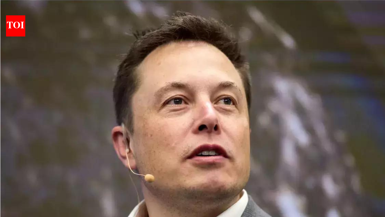 Elon Musk calls AI models of Anthropic the company that have wiped billions from stock market 'Evil'; says: Your models hate ...