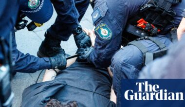 Sydney protesters want to sue police over alleged brutality at the anti-Herzog rally, but it will be a struggle | Australian police and policing
