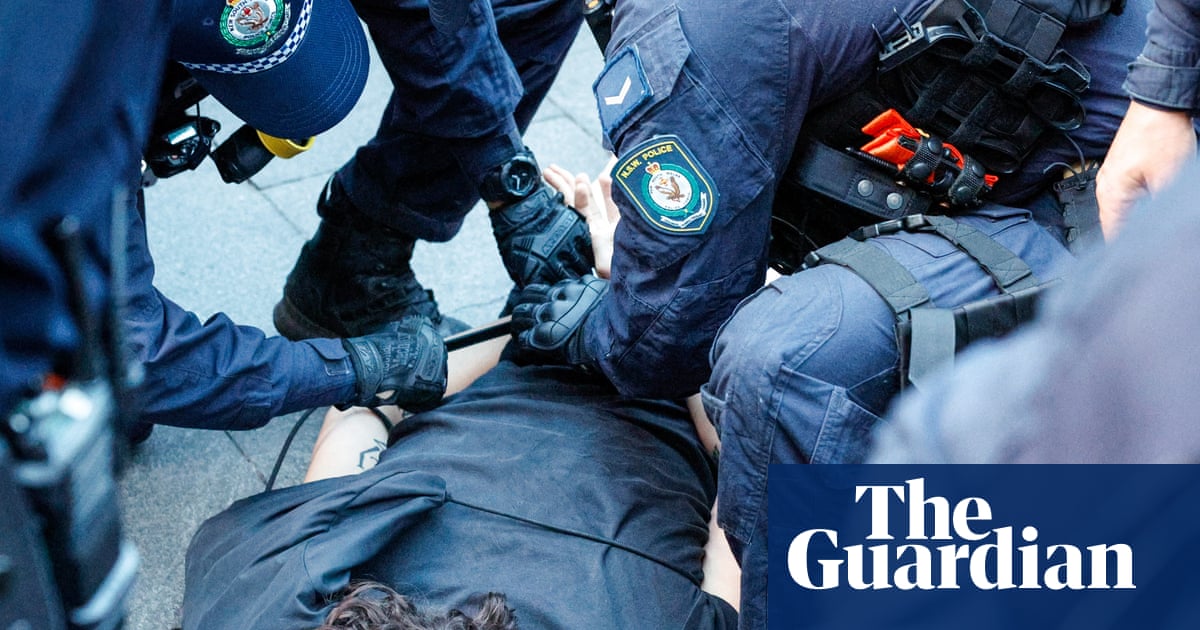 Sydney protesters want to sue police over alleged brutality at the anti-Herzog rally, but it will be a struggle | Australian police and policing